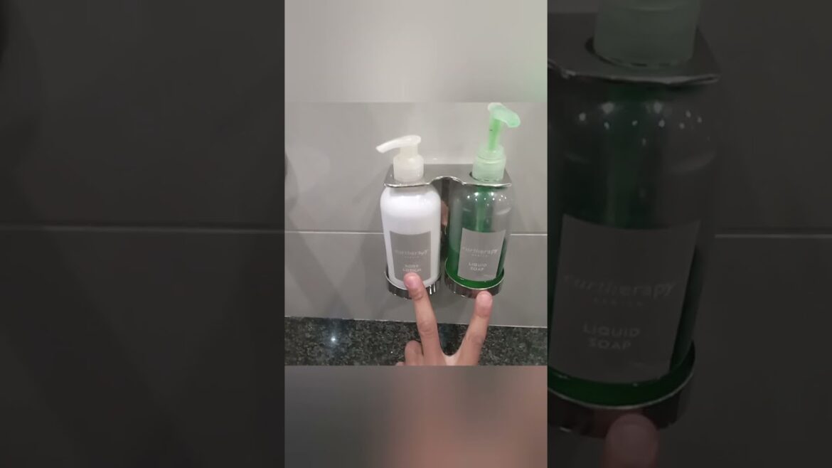 What's in the Hotel Toilet