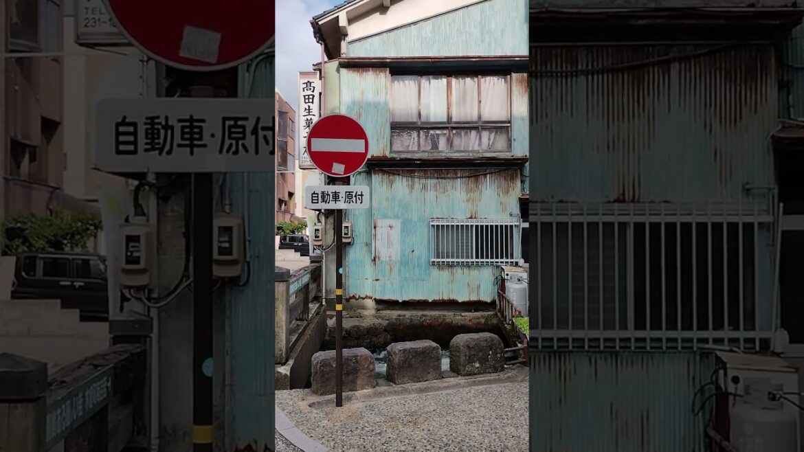 two weeks in japan | video diary