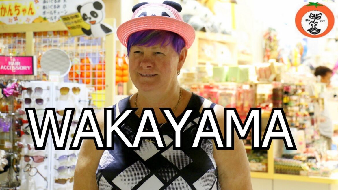 Adventure World ( shopping ) Nanki Shirahama 【 Travel Japan 】 Nishimuro District , Wakayama Adventure World ( shopping ) Nanki Shirahama 【 Travel Japan 】 Nishimuro District , Wakayama