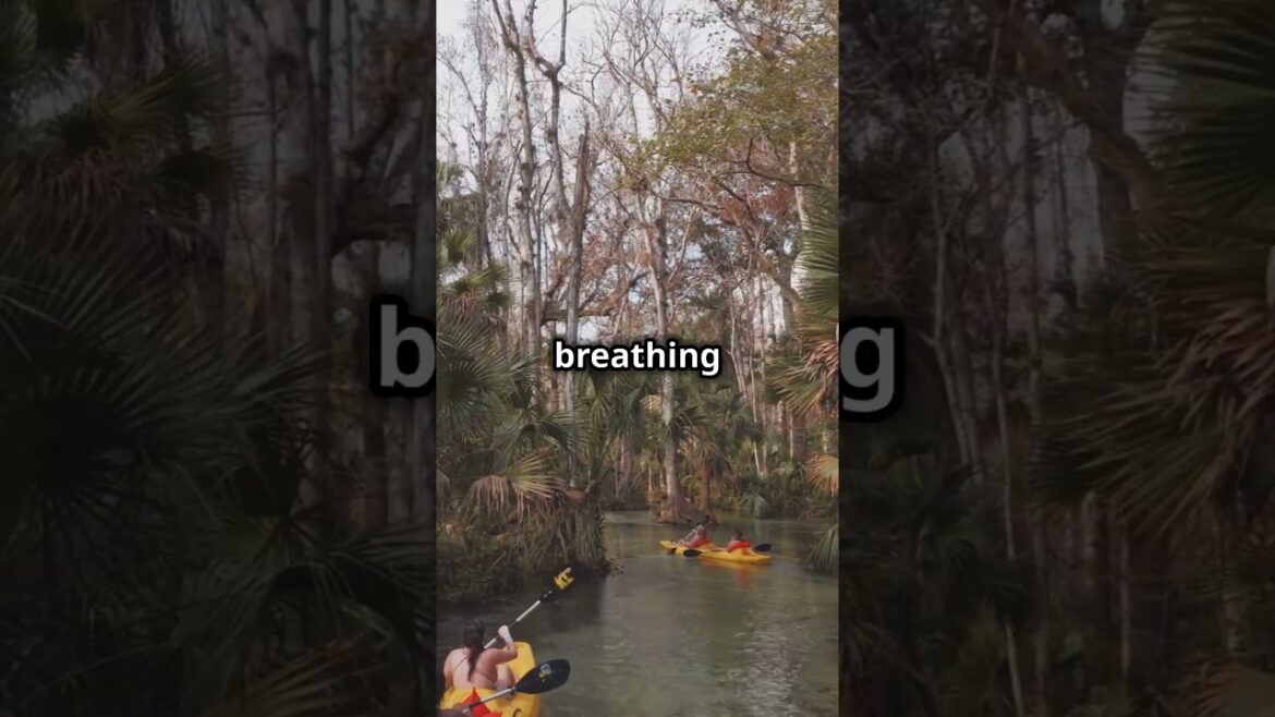 Okinawa Unveiled:  Paradise Beaches & Must Do Activities    (Japan) Okinawa Unveiled:  Paradise Beaches & Must Do Activities    (Japan)