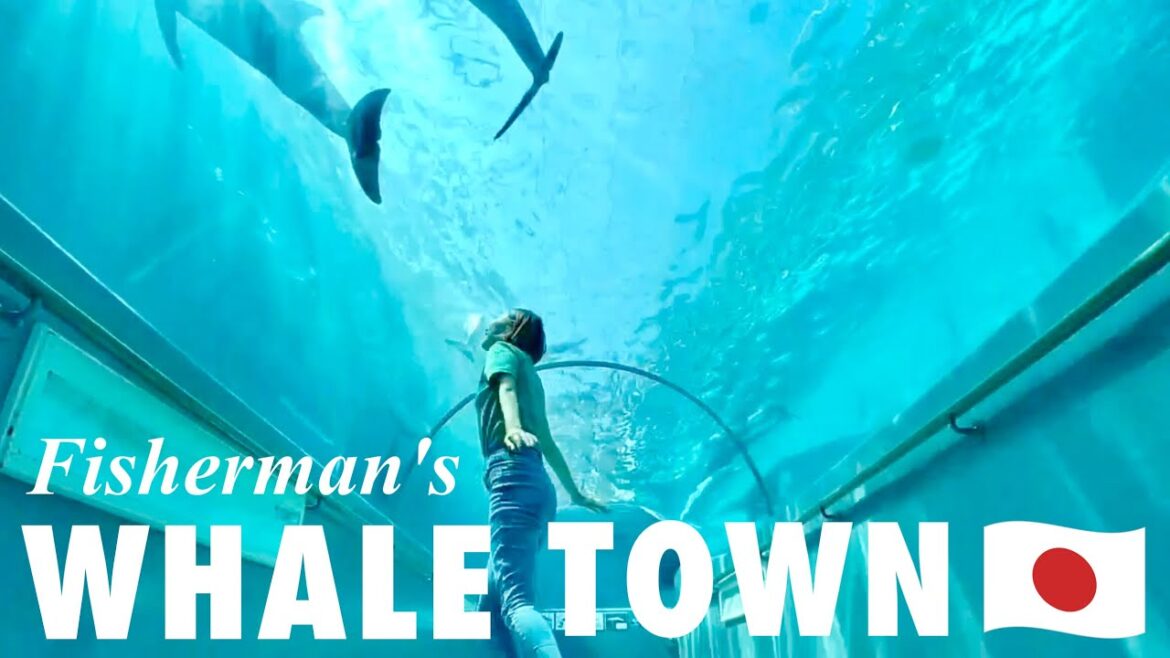 WAKAYAMA🇯🇵 Small Whaling Village “TAIJI”🐳⚓️ Japan Travel Vlog!! Japanese countryside WAKAYAMA🇯🇵 Small Whaling Village "TAIJI"🐳⚓️ Japan Travel Vlog!! Japanese countryside