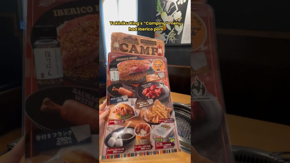 This is how you Camp in Downtown Tokyo