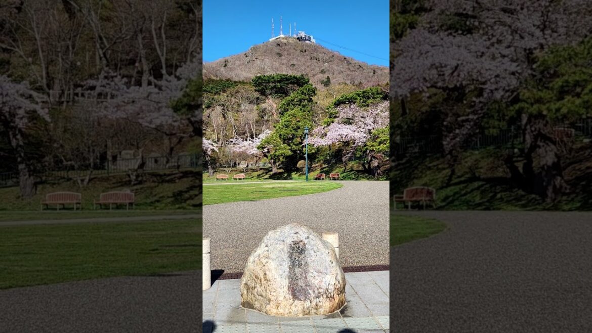 Atop Mount Hakodate: Unveiling Breathtaking Vistas #japan #travel #hakodate