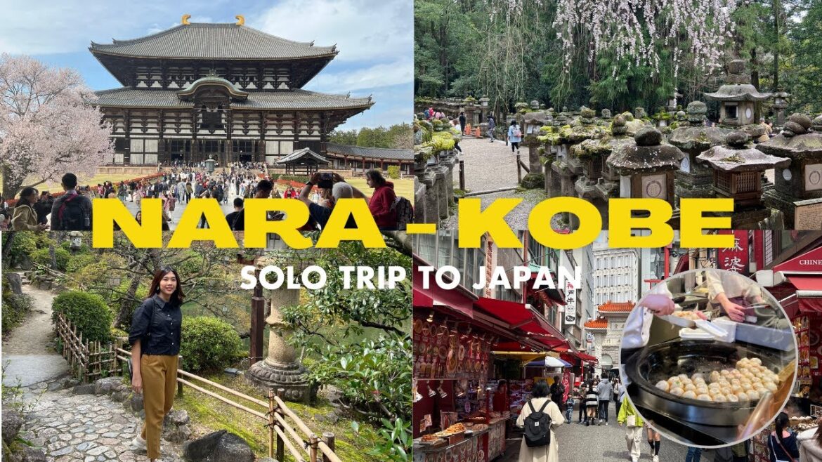 FEMALE SOLO TRIP TO JAPAN: Nara is so magical, visiting Kobe but not for the beef (yet)