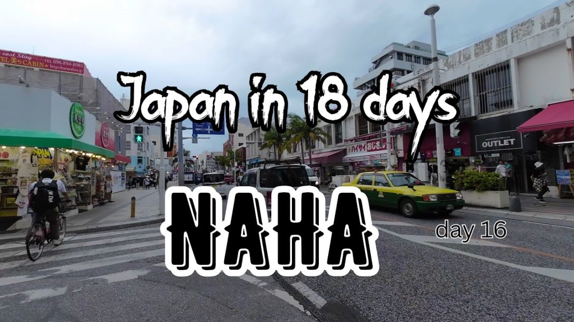 Japan in 18 days | Okinawa part 3 | Naha | American Village