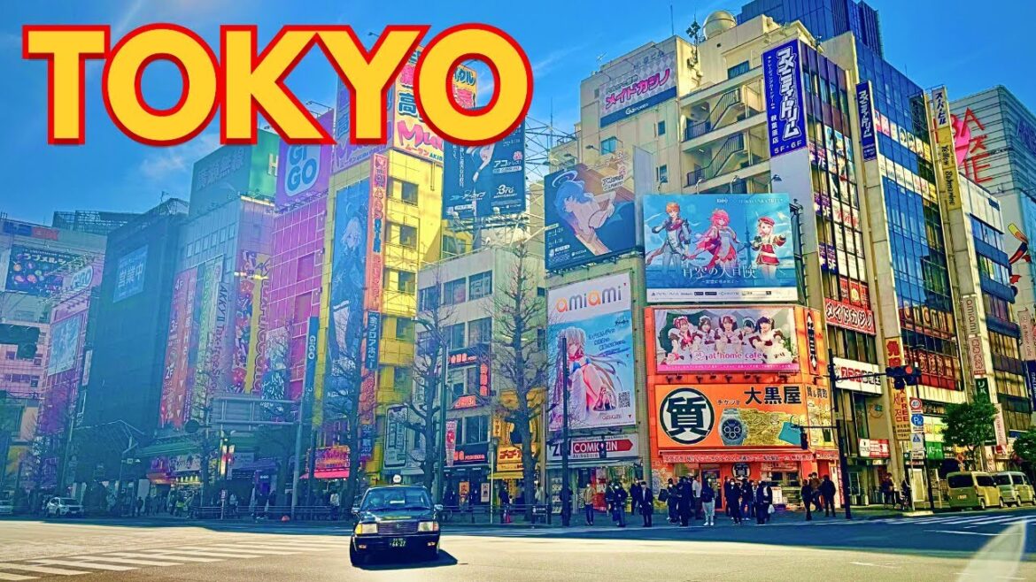 Tokyo All Day Shopping in Akihabara Japan Tokyo All Day Shopping in Akihabara Japan