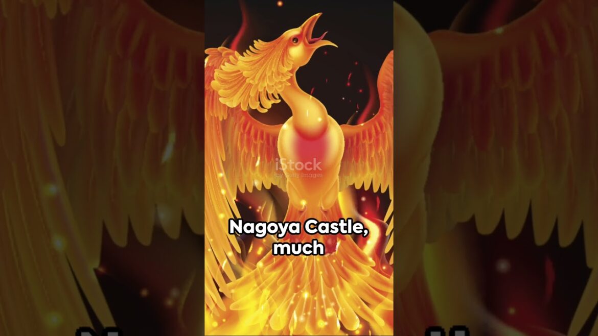 【No.1 CASTLE🏯】THE HISTORY OF NAGOYA CASTLE #castle #nagoya #travel #traveljapan #nagoyacastle