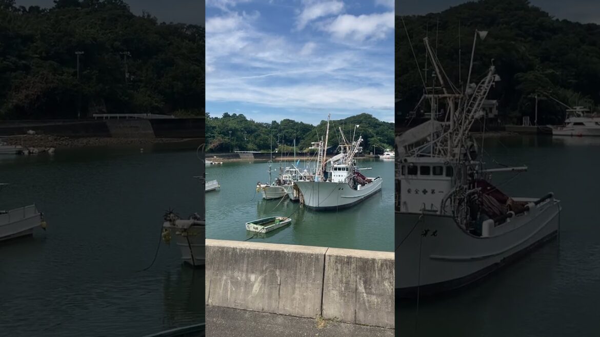 Fishing boats in the harbour.  south Wakayama, Japan.