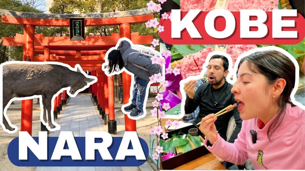 Lo MEJOR qué ver y hacer en JAPÓN 🇯🇵 ⛩️ NARA y KOBE Lo MEJOR qué ver y hacer en JAPÓN 🇯🇵 ⛩️ NARA y KOBE