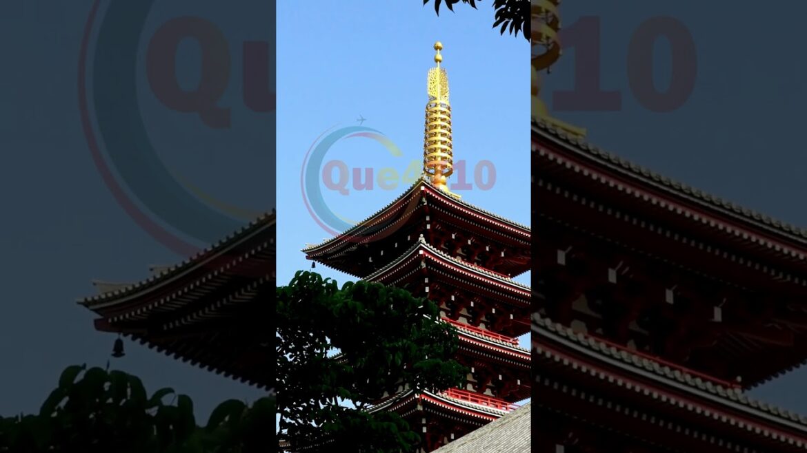 FUKUOKA JAPAN is a HIDDEN GEM 2024 #travel #shorts #viral FUKUOKA JAPAN is a HIDDEN GEM 2024 #travel #shorts #viral