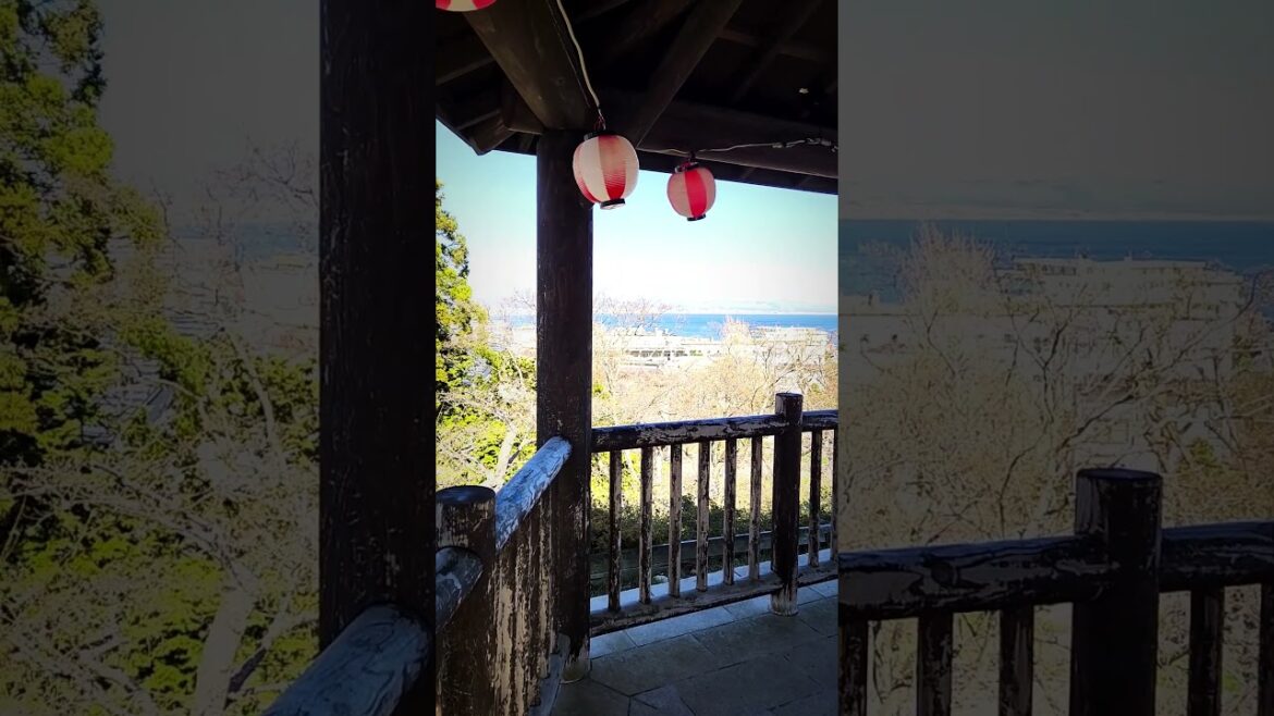 Unveiling Hakodate's Daytime and Nighttime Charm #japan #travel #discoverjapan