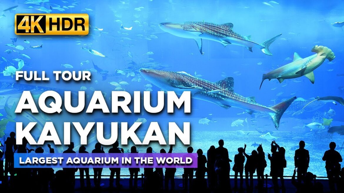 Full Tour of OSAKA AQUARIUM Kaiyukan | Explore One of the LARGEST Aquariums in the World!【4K HDR】