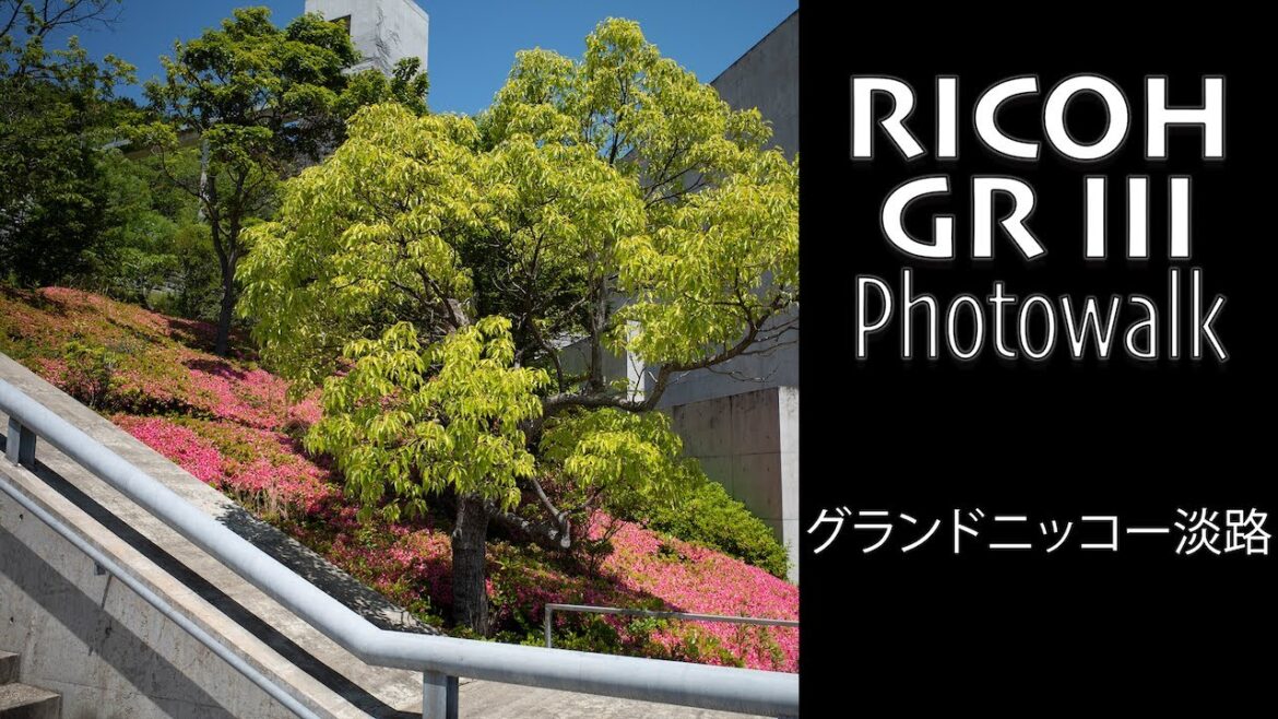 RICOH GR III POV Photowalk - GRAND NIKKO AWAJI [グランドニッコー淡路] (Positive Film)・JAPAN