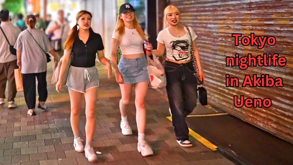 Tokyo's Seductive Maid Cafe Town On Late Night