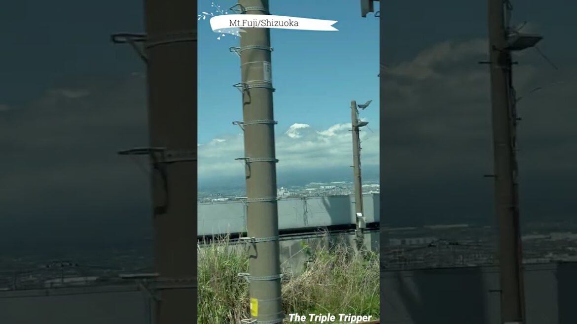 "Mt. Fuji view from the Shinkansen"  Shizuoka/Japan Trip-Log #shorts 2