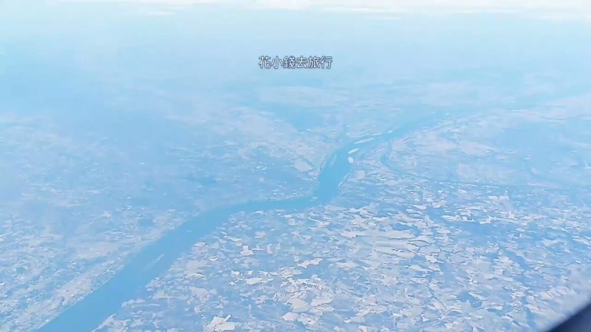 Airplane Ambience✈️Flight Attendant🔔Call Ding ✈️Flights White Noise ASMR for Reading, Sleeping