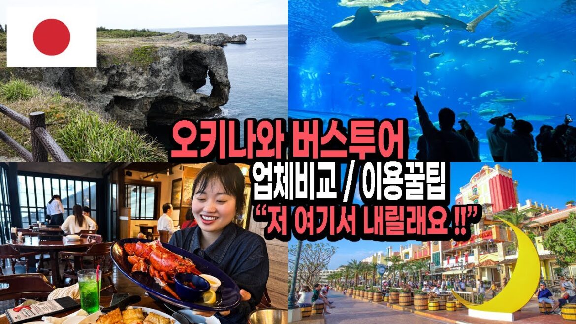 오키나와 북부 버스투어|투어업체 비교와 알아두면 좋을 꿀팁 🇯🇵일본 EP.23 오키나와 북부 버스투어|투어업체 비교와 알아두면 좋을 꿀팁 🇯🇵일본 EP.23