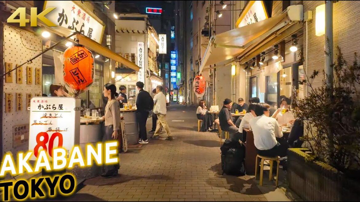 Night walk with Osmo Pocket 3 at Akabane Tokyo Japan · 4K Night walk with Osmo Pocket 3 at Akabane Tokyo Japan · 4K
