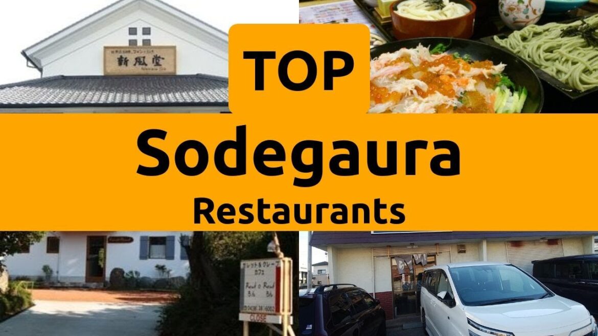 Top Restaurants to Visit in Sodegaura, Chiba Prefecture | Kanto - English
