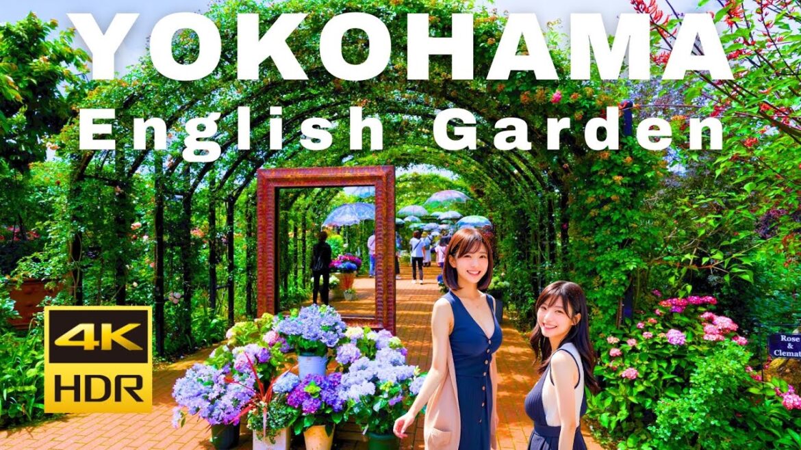 【4K HDR🇯🇵】”Hydrangea Festival” at Yokohama English Garden, 300 varieties in bloom! 【4K HDR🇯🇵】"Hydrangea Festival” at Yokohama English Garden, 300 varieties in bloom!