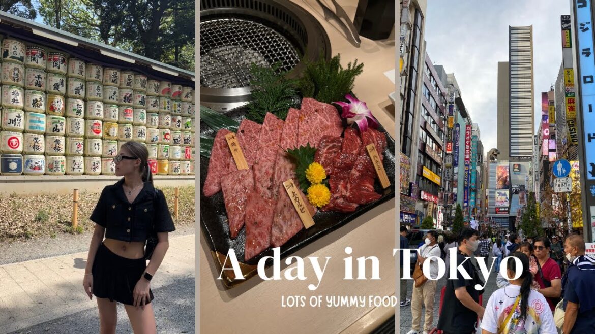 JAPAN TRAVEL VLOG | tsukiji market, shinjuku, & meiji shrine ⛩️ JAPAN TRAVEL VLOG | tsukiji market, shinjuku, & meiji shrine ⛩️