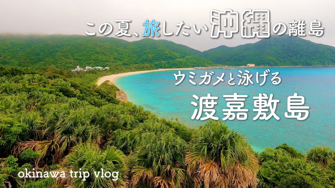 【沖縄vlog】渡嘉敷島のビーチでウミガメと泳ぐ | 阿波連ビーチ・とかしくビーチ | Japan, Okinawa trip 【沖縄vlog】渡嘉敷島のビーチでウミガメと泳ぐ | 阿波連ビーチ・とかしくビーチ | Japan, Okinawa trip