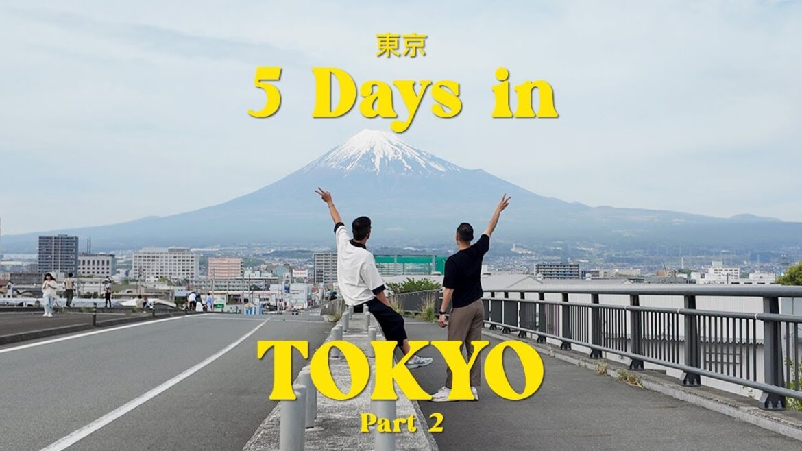 5 days in Tokyo 🇯🇵 日本東京 (mount fuji, best izakaya, cute cafes) | part 2 | japan trip