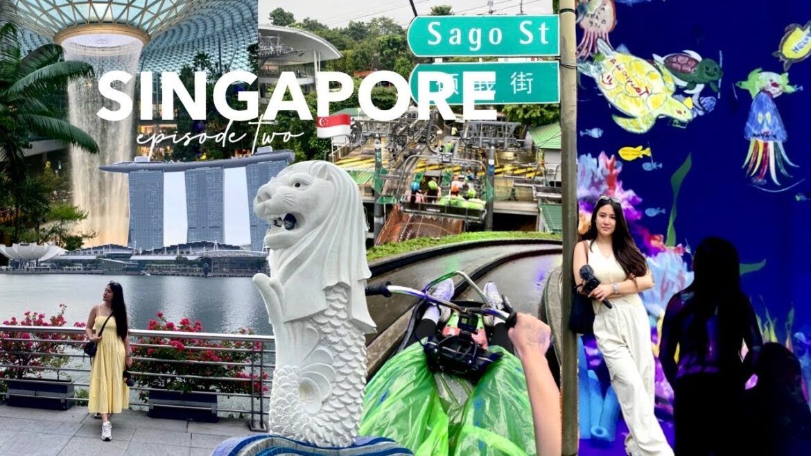 SINGAPORE 2024: 4D3N Best Itinerary for FIRST TIMERS (Skyline Luge, Art Science Museum, and more) 🇸🇬