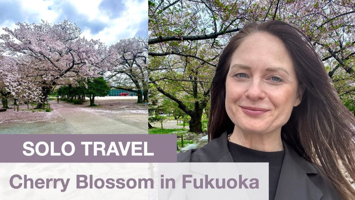 Escaping Reality: Solo Travel Adventure | Cherry Blossom in Fukuoka Escaping Reality: Solo Travel Adventure | Cherry Blossom in Fukuoka