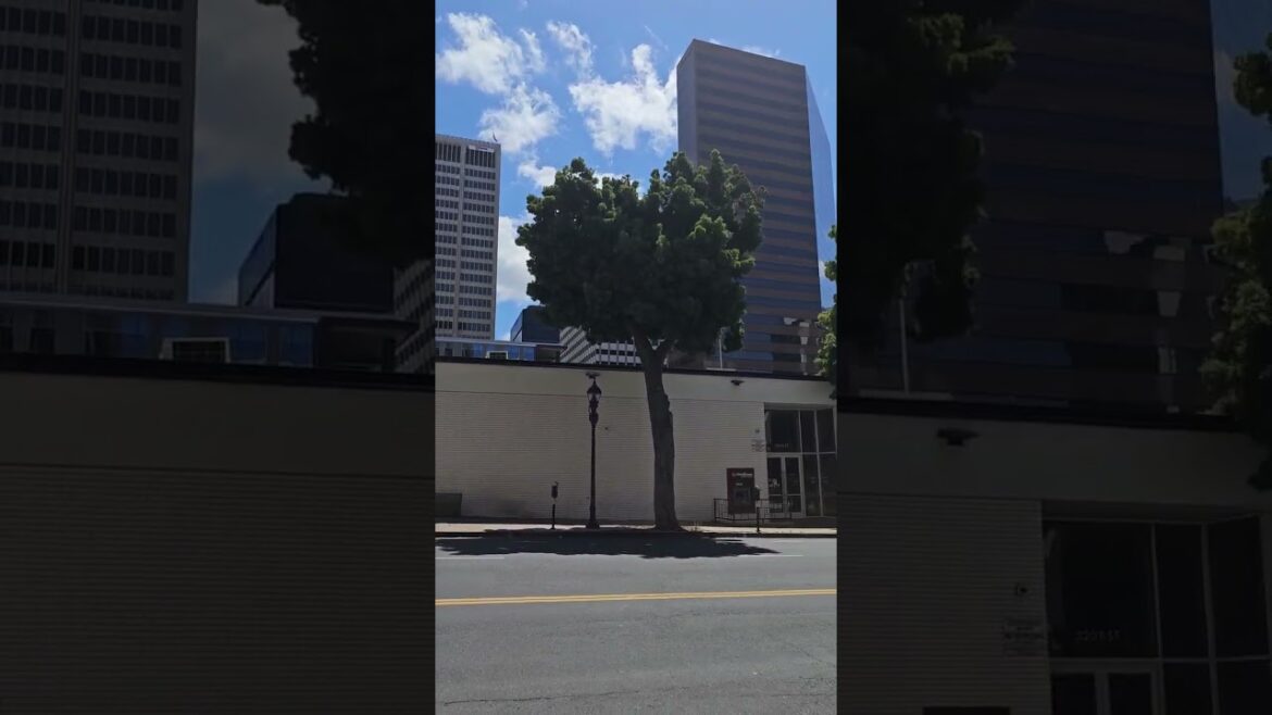 San Diego California, Driving Tour, May 2023