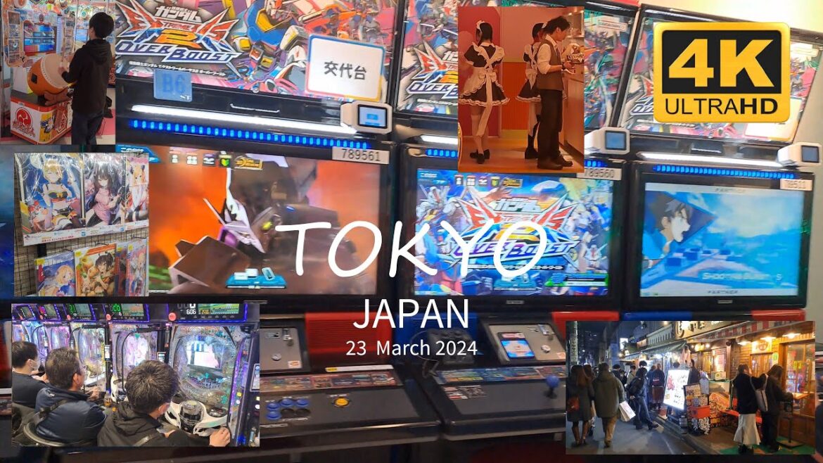 Japan Walking Tour - Day 3 - Akihabara, Shin-Okubo 4K