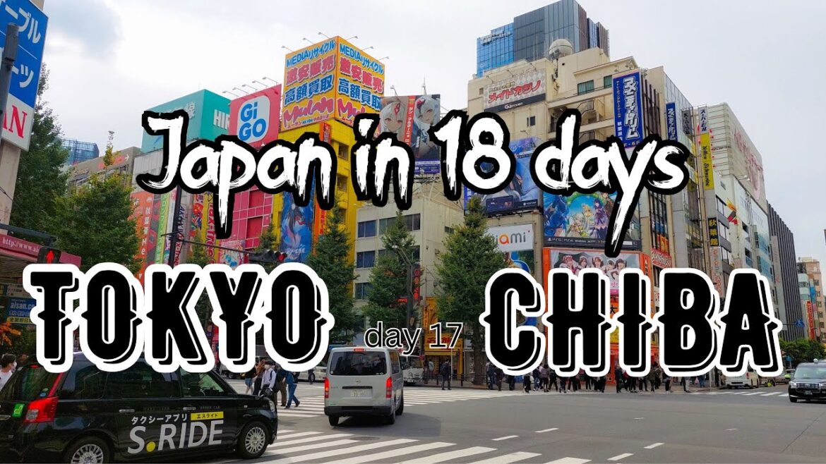 Japan in 18 days | day 17 | Tokyo | Akihabara | Chiba Japan in 18 days | day 17 | Tokyo | Akihabara | Chiba