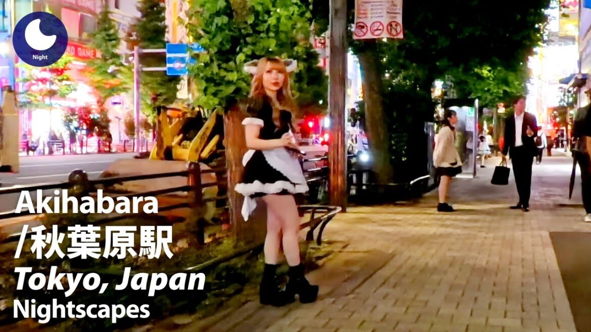 ⁴ᴷ Tokyo: Akihabara Station (東京都: 秋葉原駅) – Japan Walking Tour (May, 2024) ⁴ᴷ Tokyo: Akihabara Station (東京都: 秋葉原駅) - Japan Walking Tour (May, 2024)