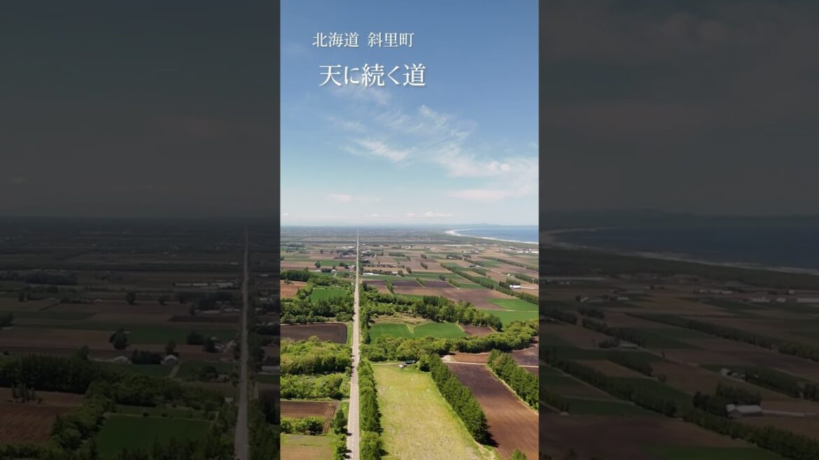 北海道の絶景【天に続く道】日本で一番長い28kmの一本道*ドローン空撮*北海道感動の瞬間100選 *北海道知床 斜里町 #Hokkaido #japan #絶景