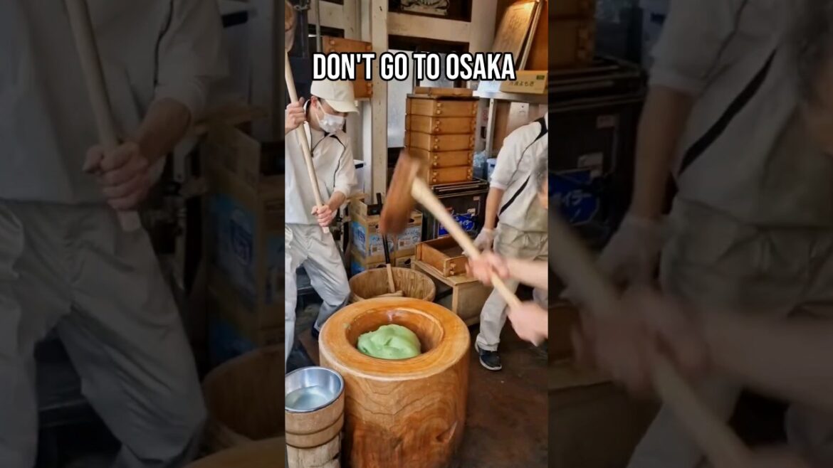 Don't go to Osaka, Japan 🇯🇵... without planning those day trips #japan #japantravel #japanlife