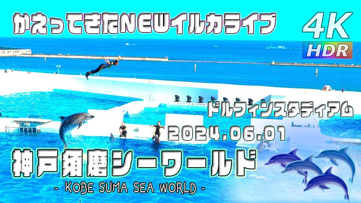 【4K HDR】かえってきたスマスイ名物!NEWイルカライブ – 神戸須磨シーワールド ドルフィンスタディアム – KOBE SUMA SEA WORLD – スマシー VLOG 03 【4K HDR】かえってきたスマスイ名物!NEWイルカライブ - 神戸須磨シーワールド ドルフィンスタディアム - KOBE SUMA SEA WORLD - スマシー VLOG 03
