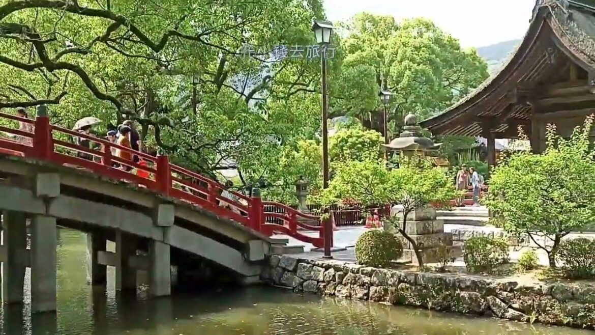 FUKUOKA Japan Walk 2024🌞Walking👣Beautiful Garden●Iris ●Hydrangea ●Red Leaves Pond●May 2024@花小錢去旅行