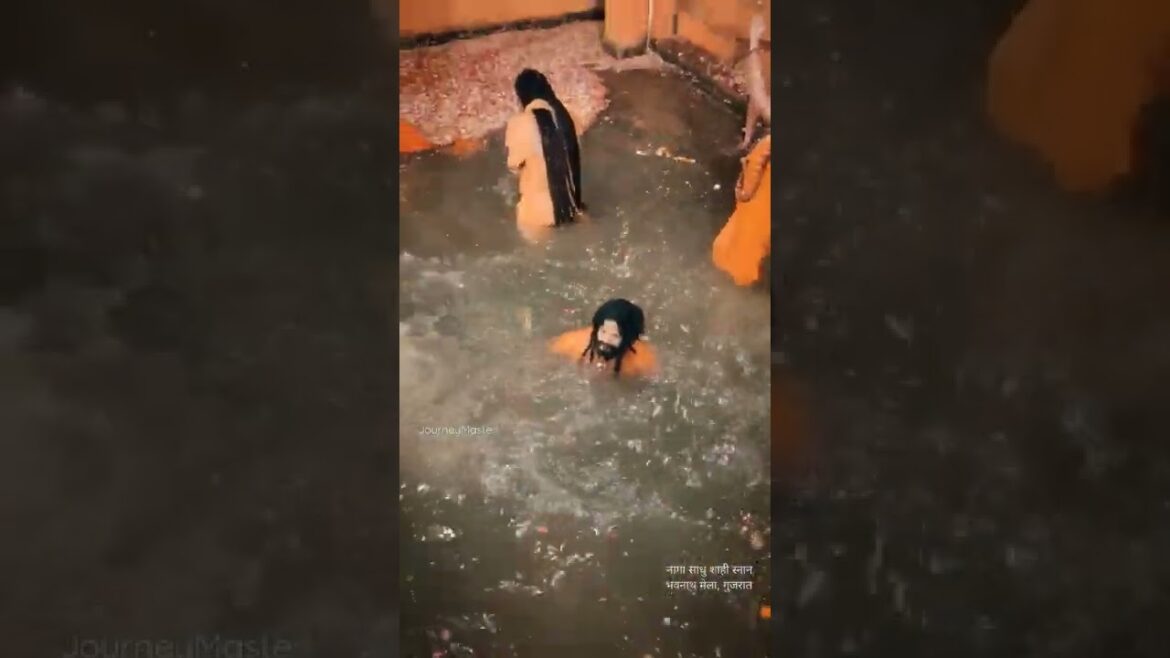 नागा साधु शाही स्नान। महाशिवरात्रि मेला 2022। जूनागढ़ । गुजरात । Naga Sadhu । shivratri । Junagadh