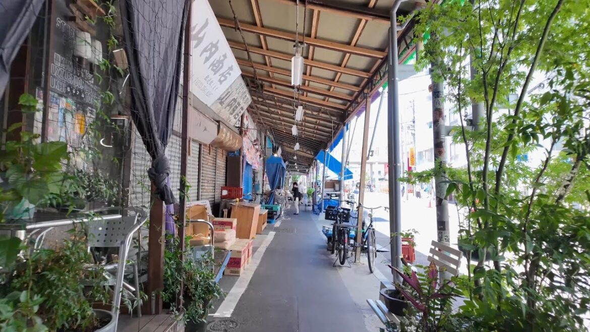 【4K Japan】Stroll through Tsukiji Outer Market to Ginza in Tokyo 【4K Japan】Stroll through Tsukiji Outer Market to Ginza in Tokyo