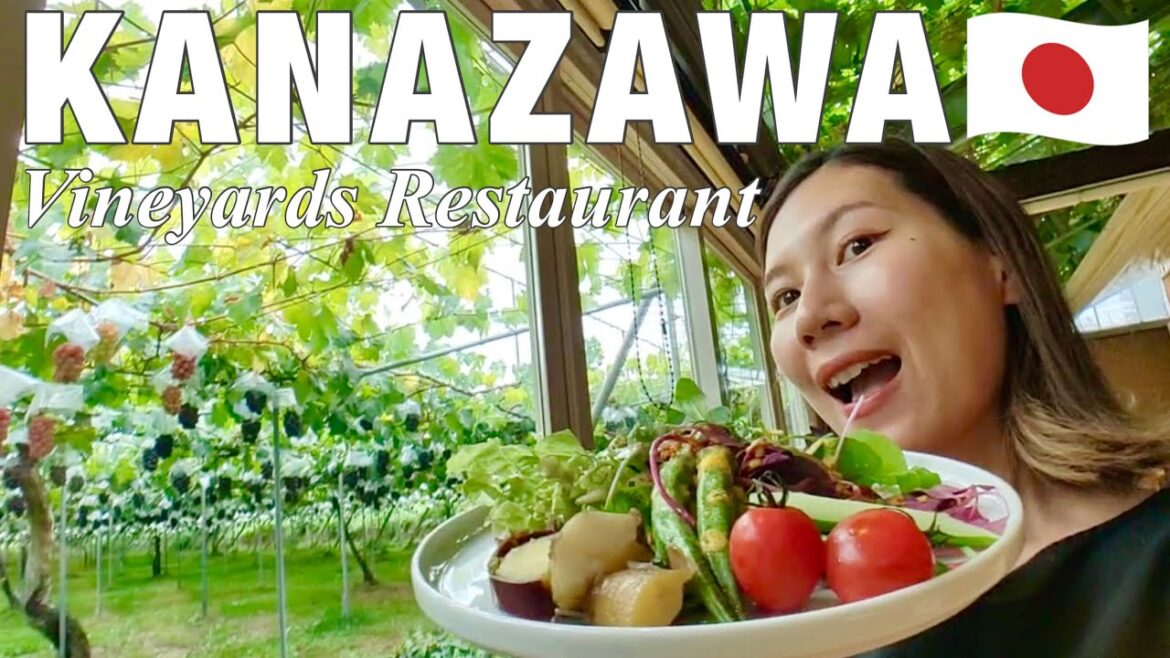 KANAZAWA (ISHIKAWA)🇯🇵 Grapes Farm Restaurant with Fresh Local Vegetables 🍇✨ Japan Travel Vlog KANAZAWA (ISHIKAWA)🇯🇵 Grapes Farm Restaurant with Fresh Local Vegetables 🍇✨ Japan Travel Vlog