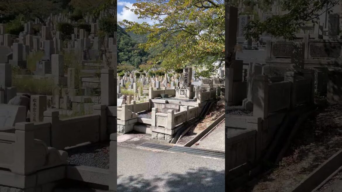 Nagamine Cemetery in #Kobe #Japan Nagamine Cemetery in #Kobe #Japan