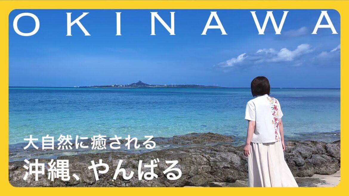 【travel vlog】沖縄/地元在住者と巡る、やんばる絶景旅/岩の森のような大石林山/秘密の特別な海へ🏝️#2 【travel vlog】沖縄/地元在住者と巡る、やんばる絶景旅/岩の森のような大石林山/秘密の特別な海へ🏝️#2