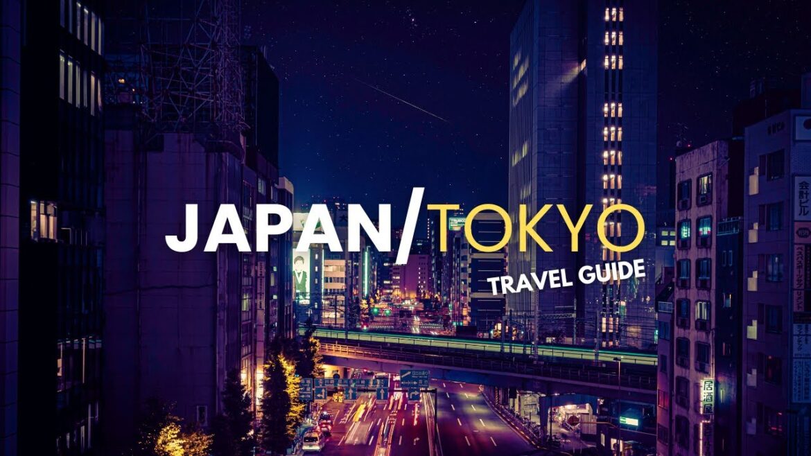 Japan insights: Tokyo FULL Travel Guide 2024