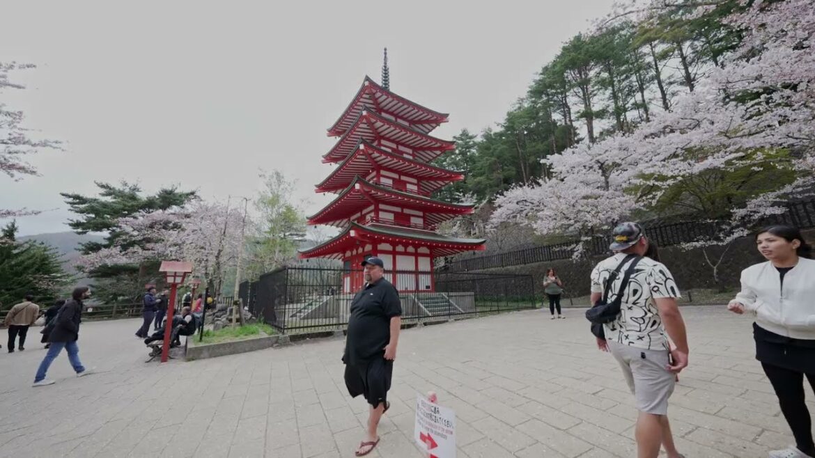 Big Guy Big World in Mount Fuji
