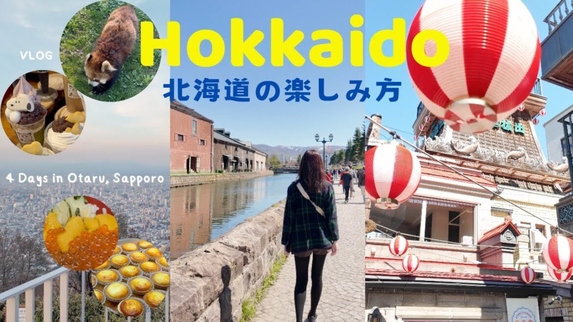 4 Days in Hokkaido! Otaru & Sapporo: Amazing View, Red Panda, Ice Cream, Seafood! Japan Travel Vlog 4 Days in Hokkaido! Otaru & Sapporo: Amazing View, Red Panda, Ice Cream, Seafood! Japan Travel Vlog