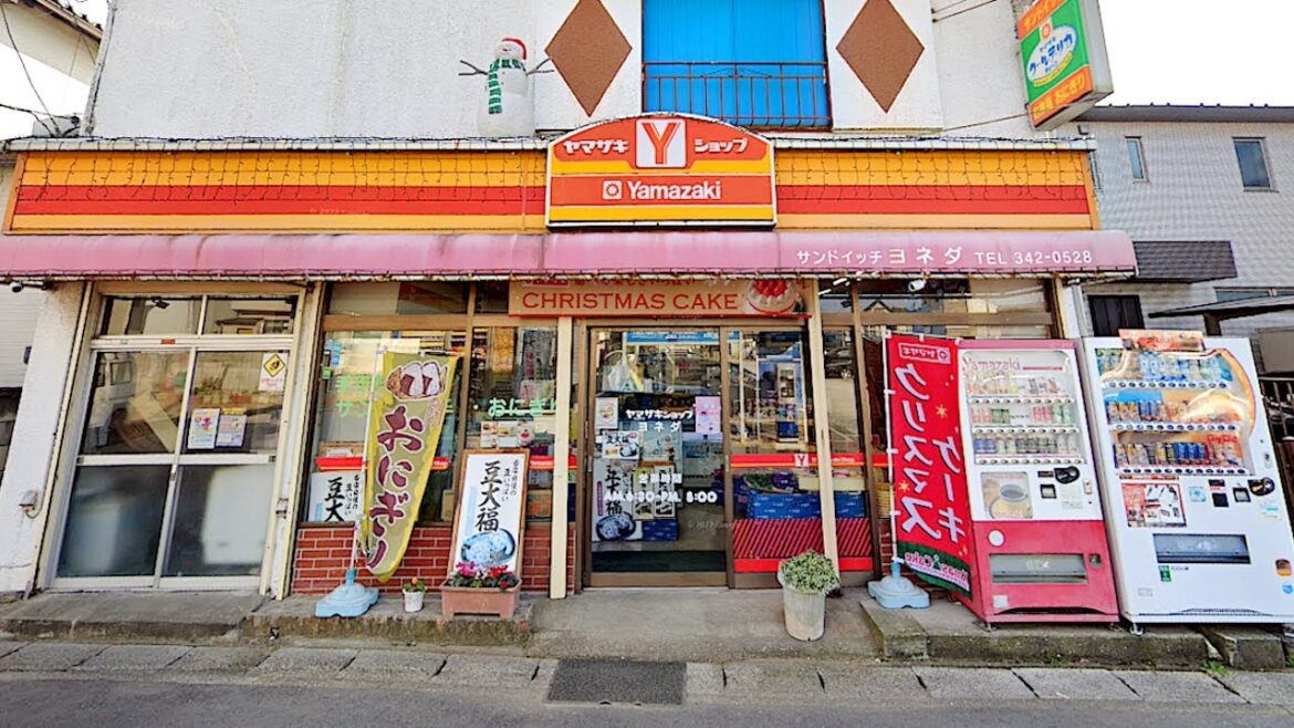 Exploring Residential Japan: Mabashi area in Chiba Prefecture! | JAPAN LIVE STREAMS 2024