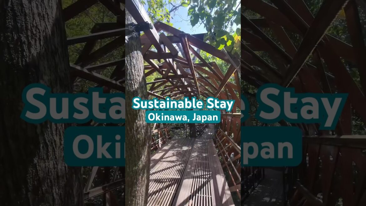 Coolest Place to Stay in Okinawa, Japan- a Sustainable Treehouse #sustainabletourism #airbnb #japan Coolest Place to Stay in Okinawa, Japan- a Sustainable Treehouse #sustainabletourism #airbnb #japan
