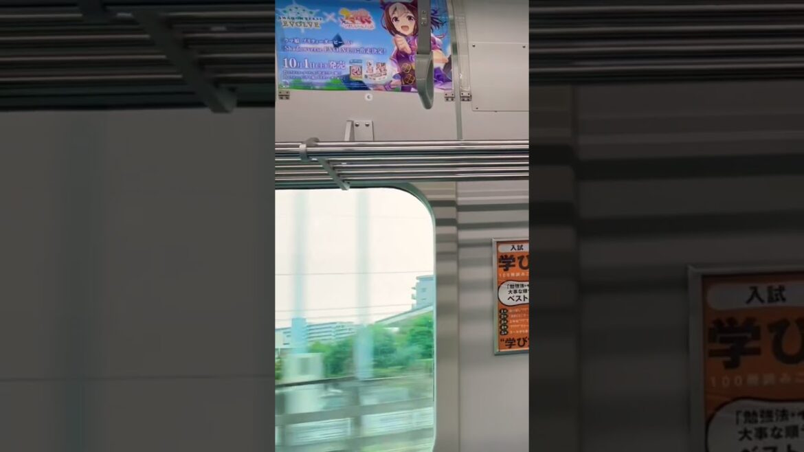Tokyo-Chiba journey! #shorts #japan #nature #beautiful #tokyo #travel #train #station #cool #calm Tokyo-Chiba journey! #shorts #japan #nature #beautiful #tokyo #travel #train #station #cool #calm