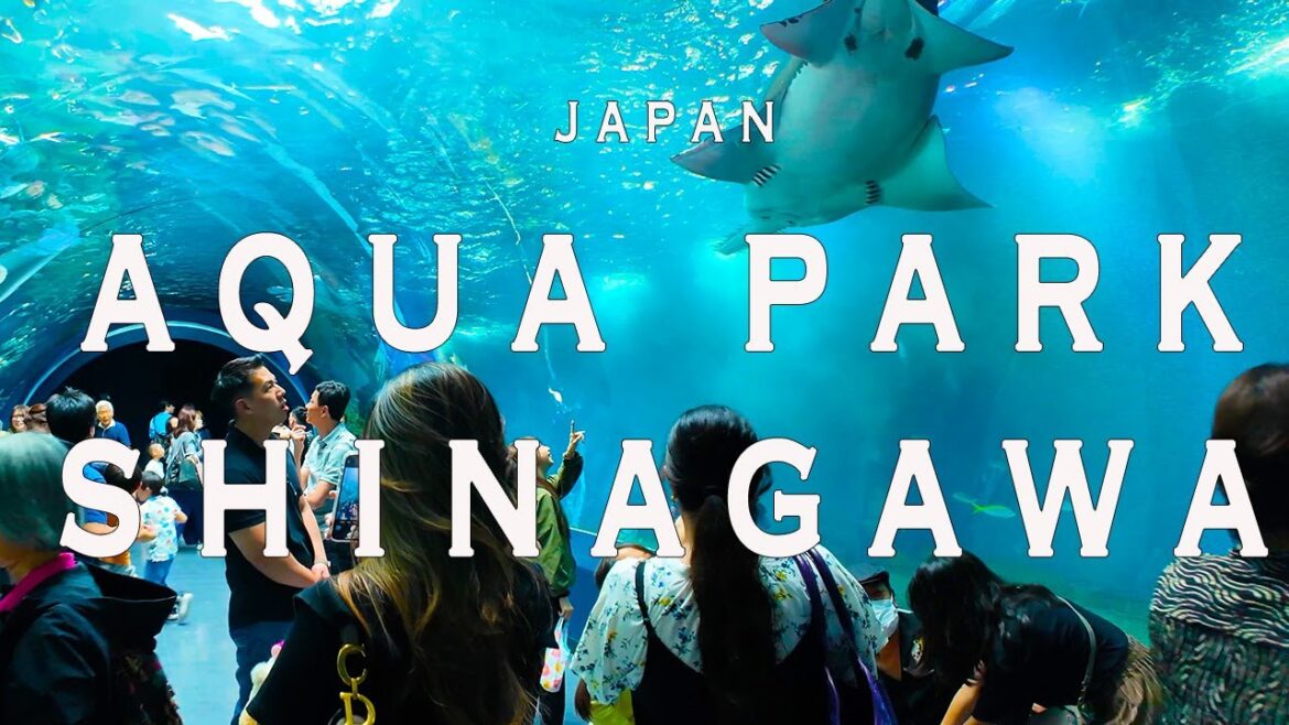 Aqua park shinagawa 4K Walking Tour (Tokyo Japan)-Tour with Captions & Immersive Sound. Aqua park shinagawa 4K Walking Tour (Tokyo Japan)-Tour with Captions & Immersive Sound.