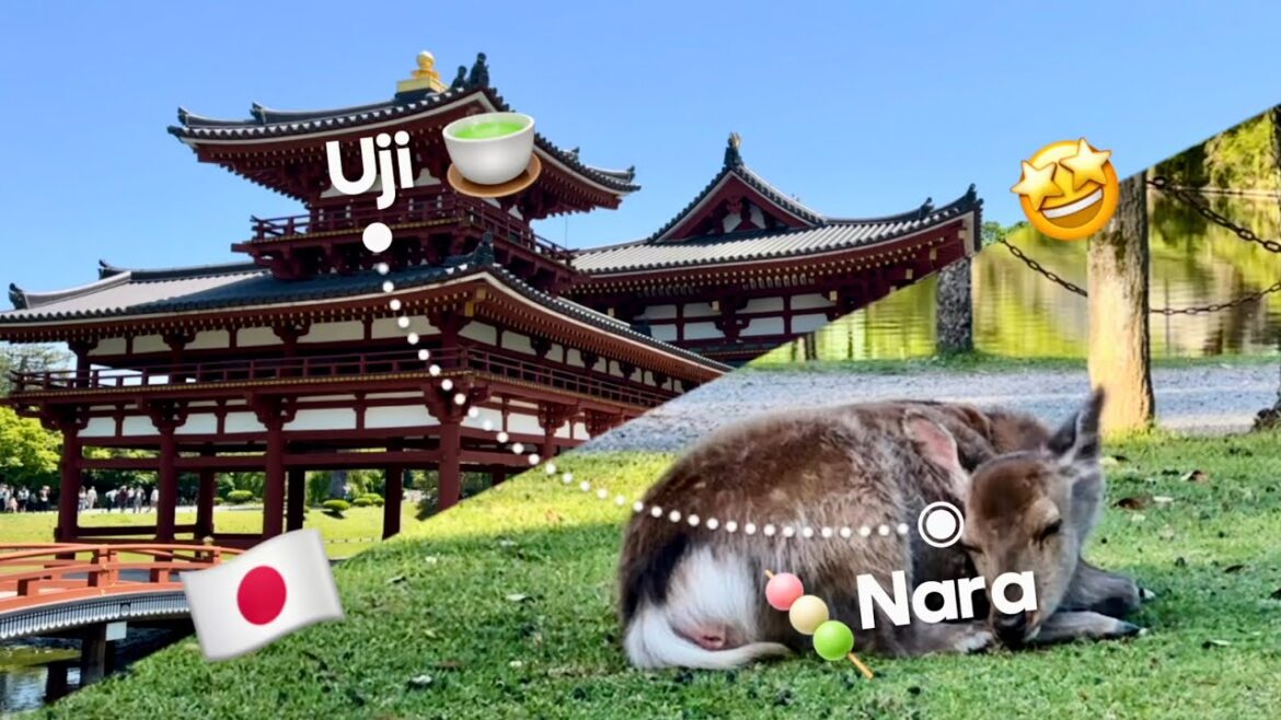 Secret Day Trip from Kyoto: Discover Uji 🍵 and Nara🤩 #japan